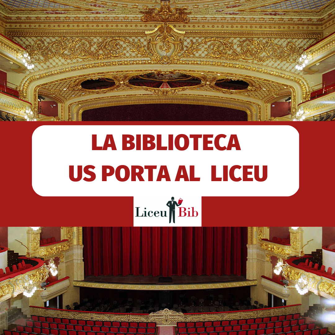 Read more about the article La biblioteca et porta al Liceu